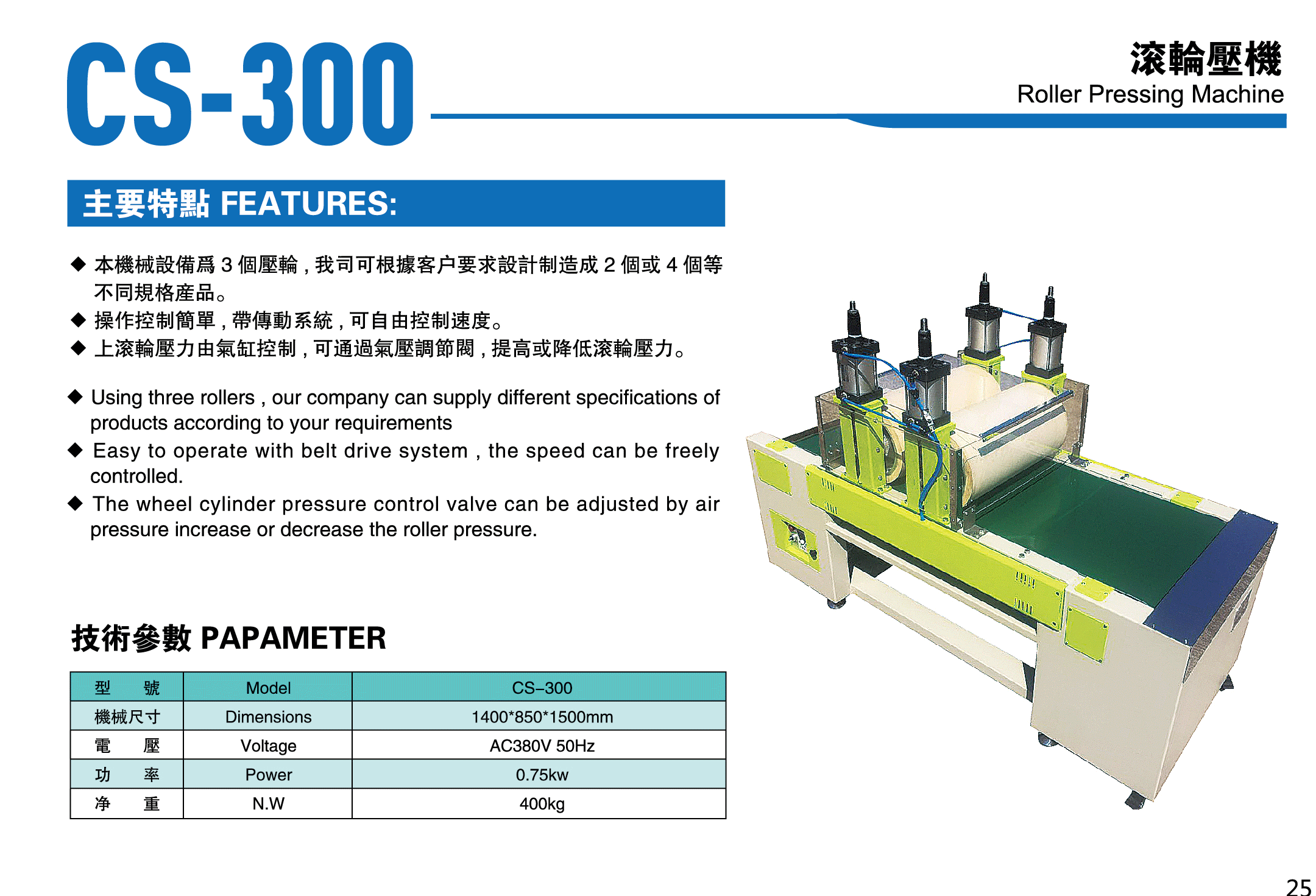 CS-300